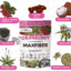 cranberry-maxfiber2