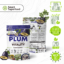 Plum_2-1536x1536